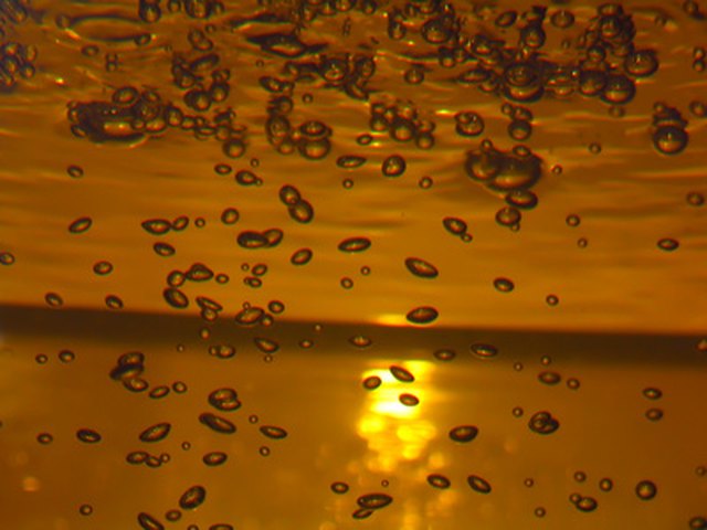 bubbles in aquarium