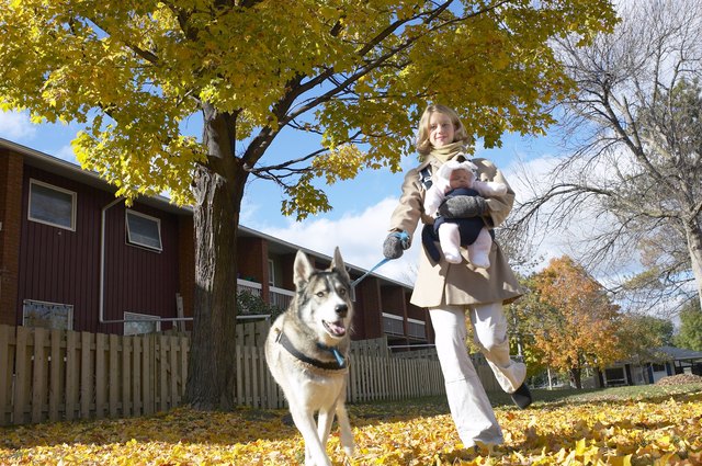 Mother and baby walking dog