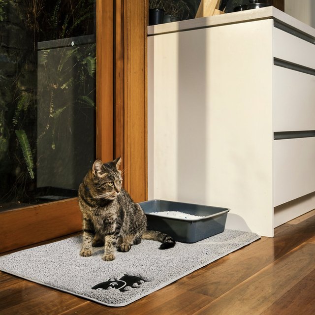 The Best Cat Litter Mats in 2022 Cuteness