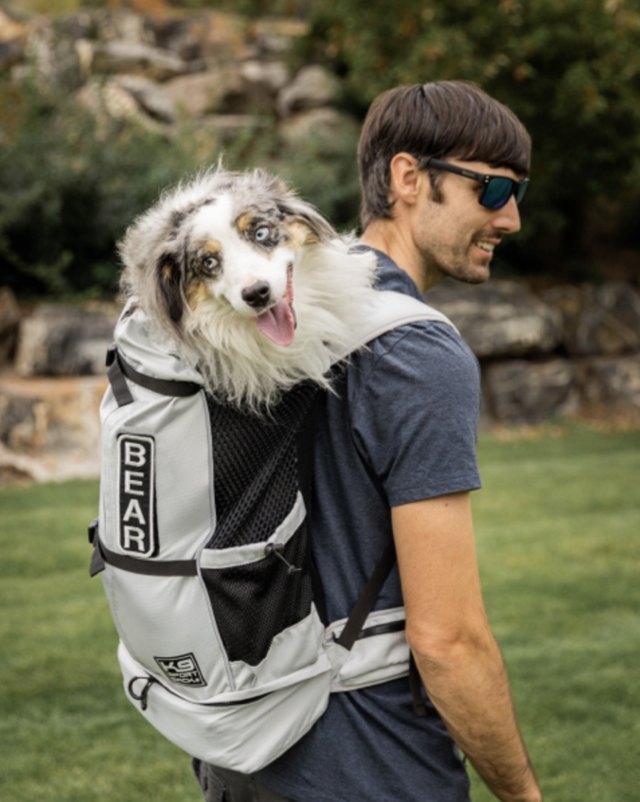 Best Dog Carrier Backpacks: 7 Sturdy Options for Hiking, Travel, and ...