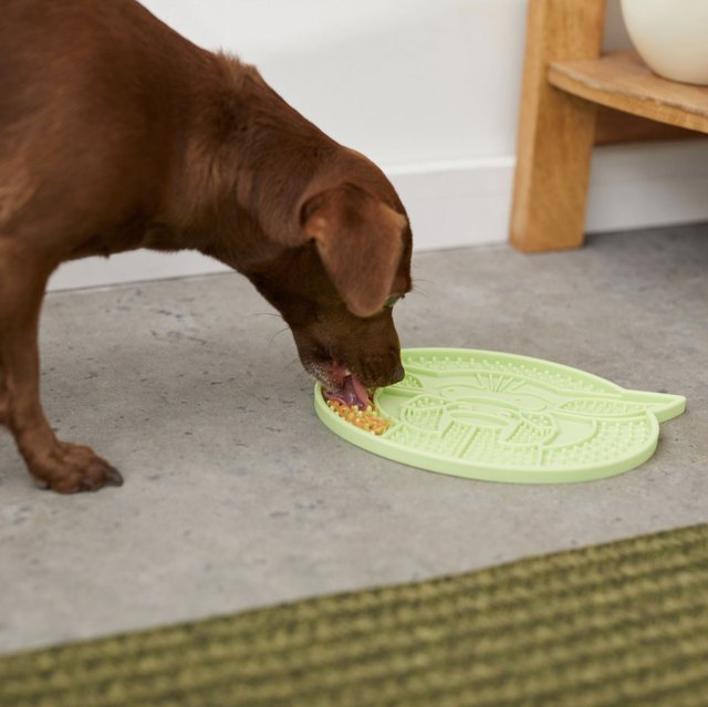 banish-boredom-with-these-lick-mats-for-dogs-cuteness