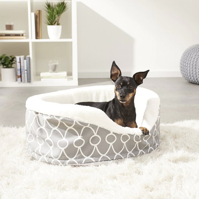 Best Dog Beds 2023: The Top-Rated Dog Beds For Every Preference And ...