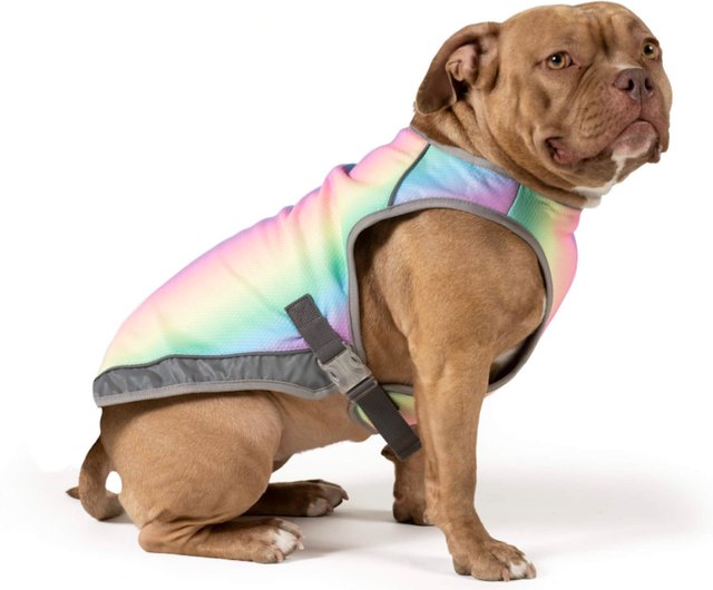 The Best Dog Cooling Vests for Heat Protection | Cuteness