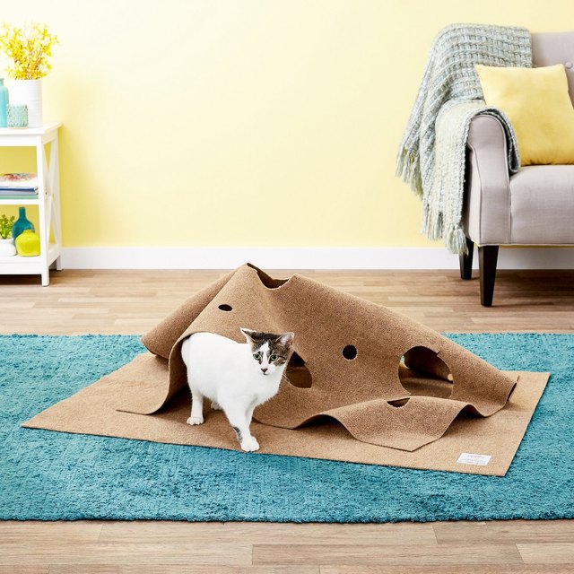 Cat Activity Play Mats for Easy Enrichment
