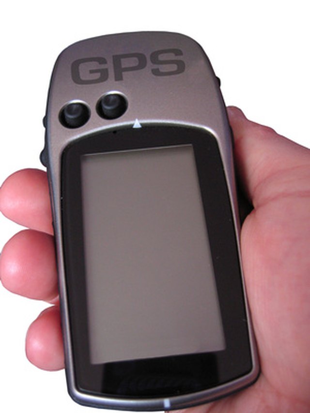 A GPS Chip for Pets Cuteness