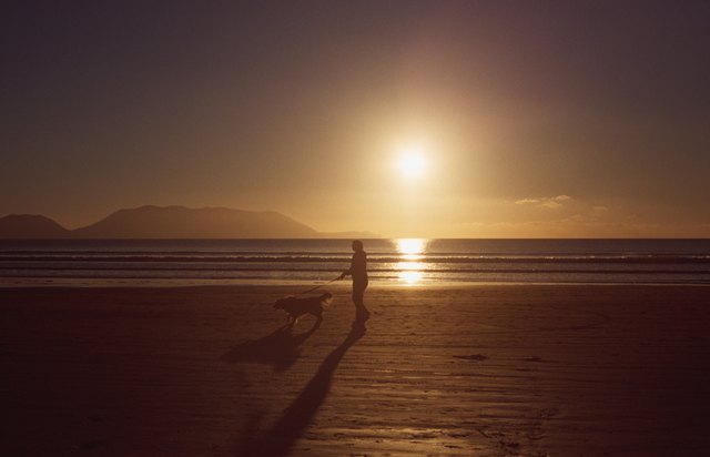 Silhouette of a person and a dog on inch beach, co. Kerry, Ireland