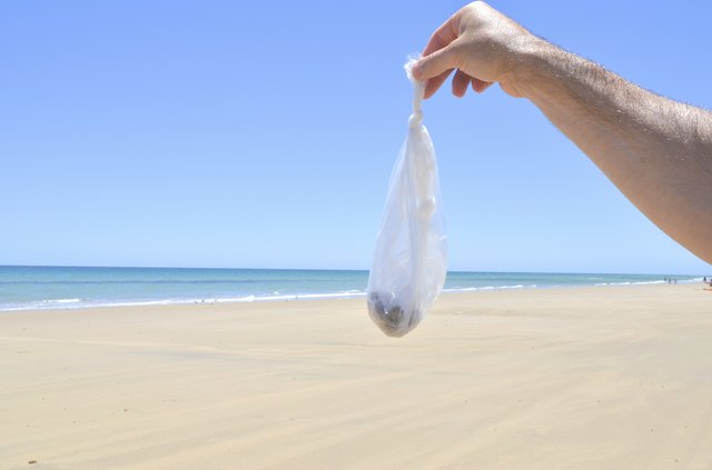 Dog Poo Bag