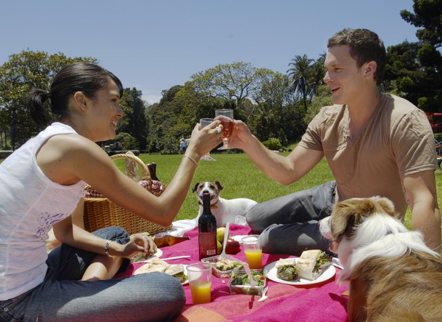 Young couple having picnic in park with border collie and jack russell