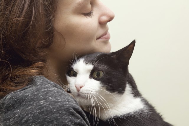 beautiful young woman with a cat