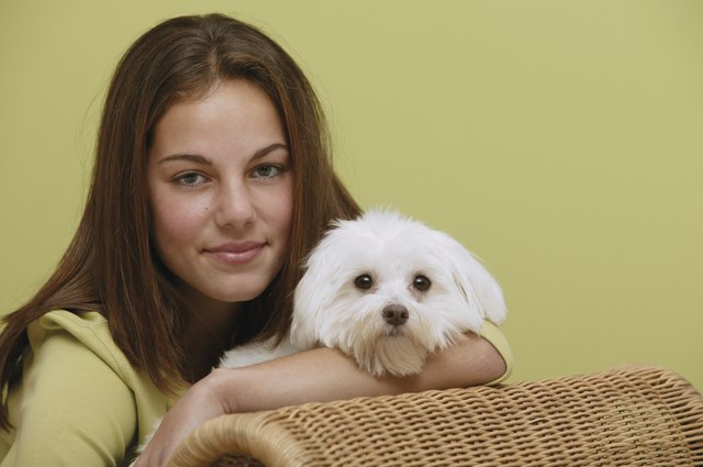 Teenage girl holding pet dog