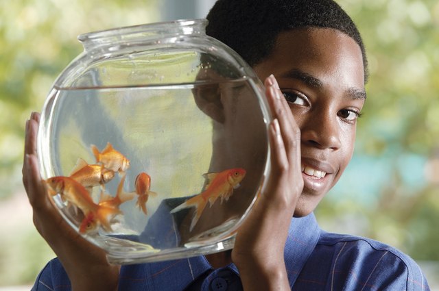 Boy holding goldfish bowl