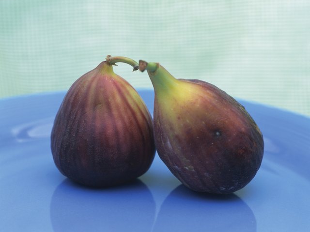 Whole figs on blue plate, High angle view