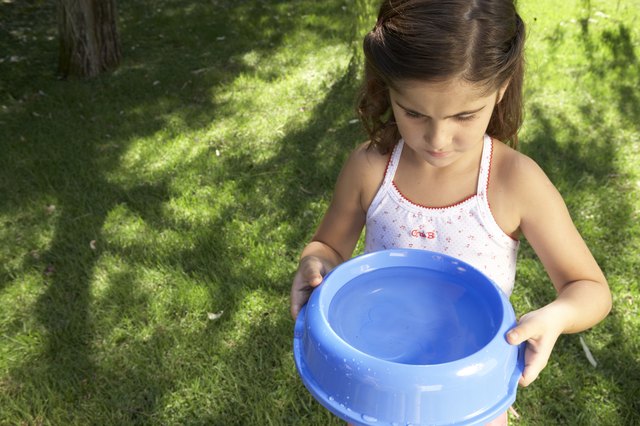 Girl (7-8) in garden, holding bowl of water, elevated view