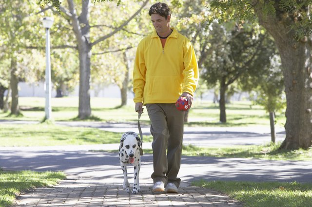 Man Walking Dog in Park