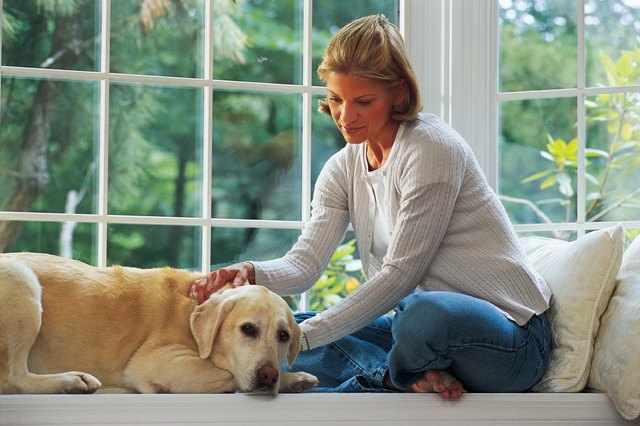 Woman at home with dog