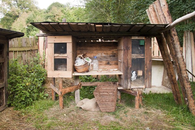 Rabbit in the hutch