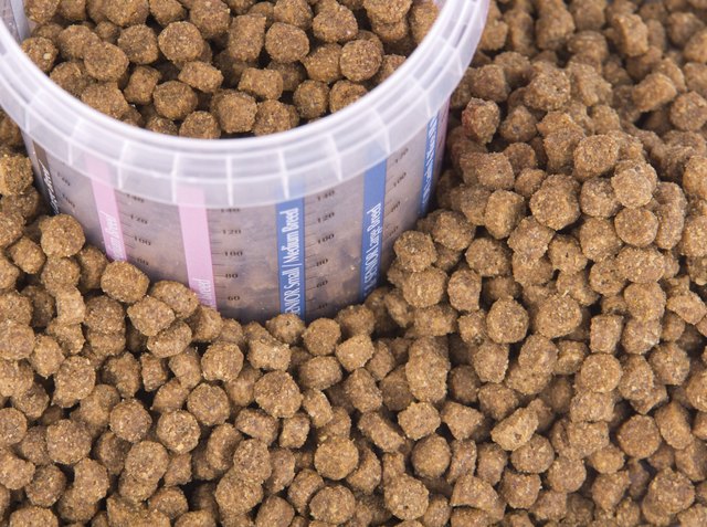 Measured dose of food for dog