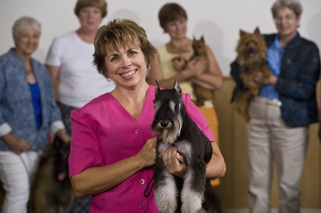 Woman with Miniature Schnauzer
