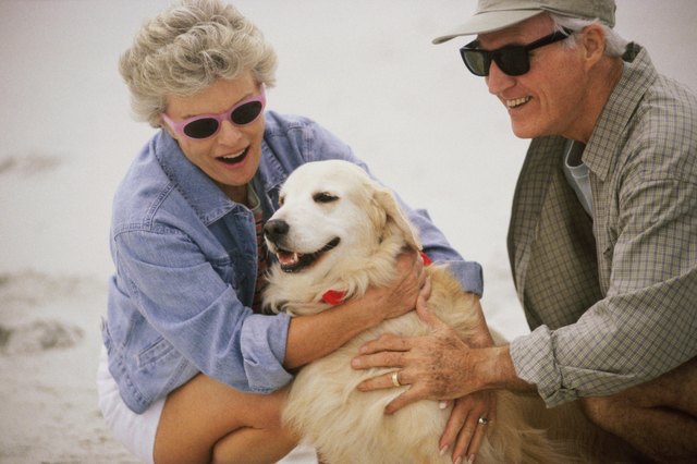 Senior couple sitting on the beach with a dog