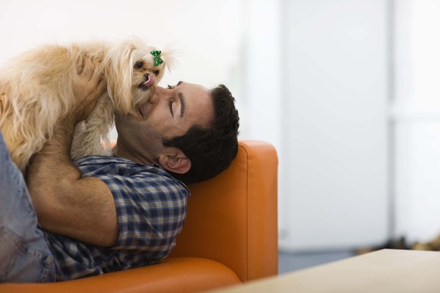 Man relaxing with a dog
