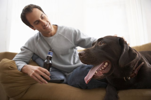 Man holding bottle relaxing on sofa with dog, smiling