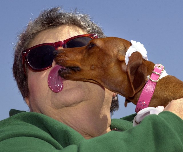 Ocean City Woofin Paws Easter Pet Parade And Fashion Show