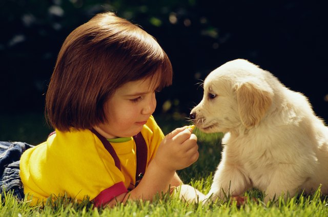 Girl playing with puppy