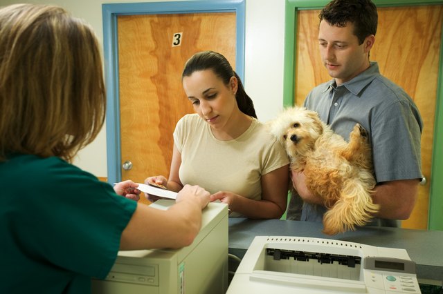 Couple with dog at front desk of vet clinic