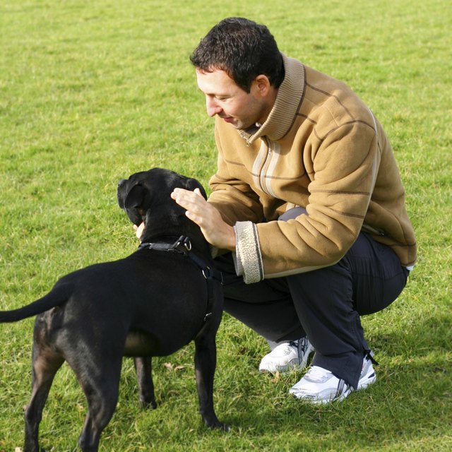 Friends in the Park