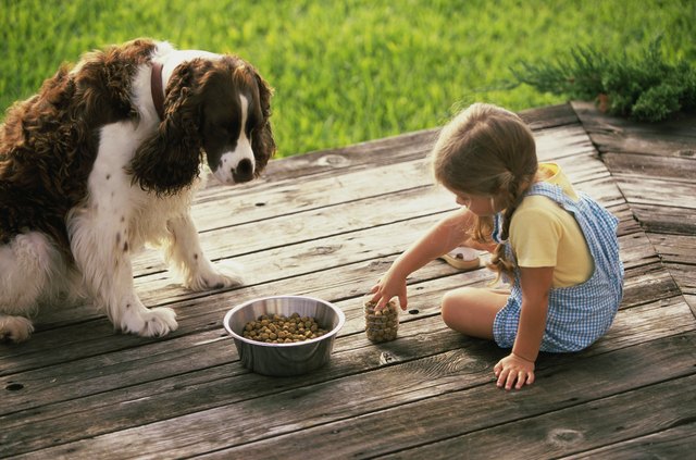 High angle view of a girl feeding her dog