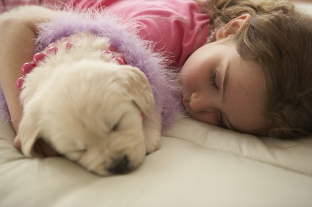 Young girl (8-10) sleeping on bed with dog