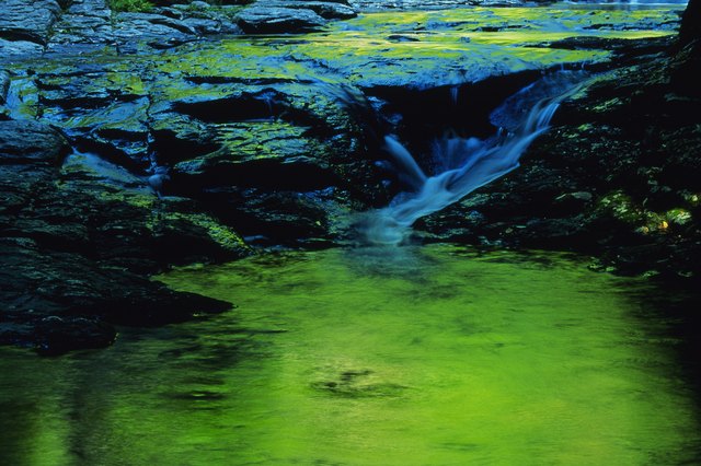 River flowing over algae covered rocks