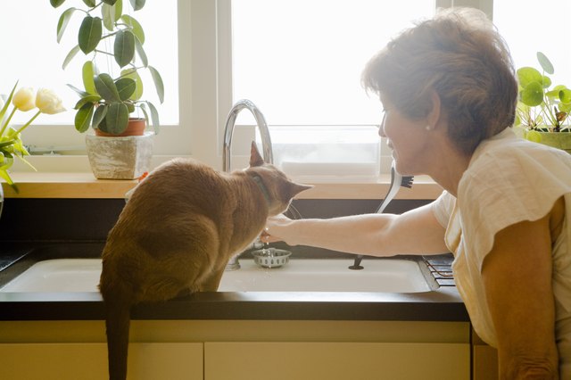Woman with cat