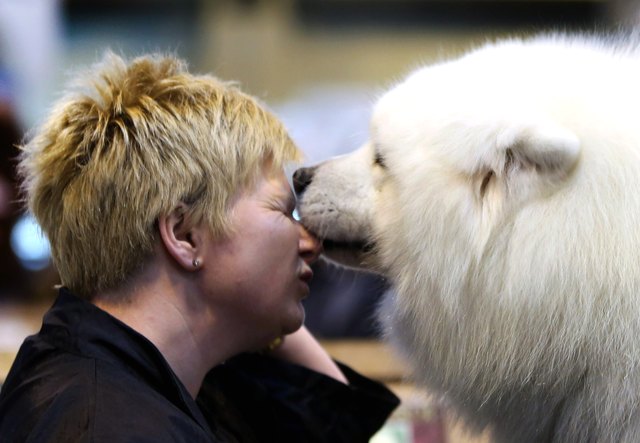 Dogs And Owners Gather For 2013 Crufts Dog Show