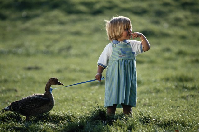 Girl (2-3) standing with plastic duck in garden