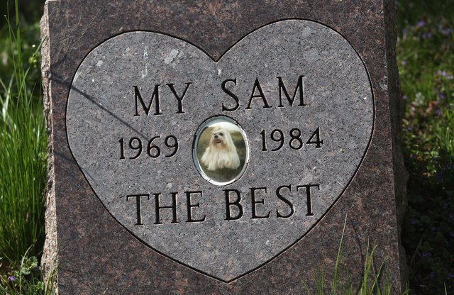 Pet Cemetery Provides Final Resting Place For Beloved Animals