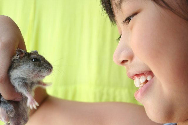 Girl & hamster