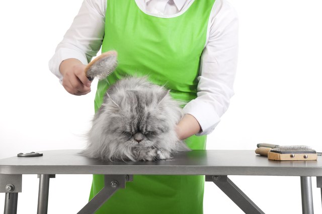 Grooming