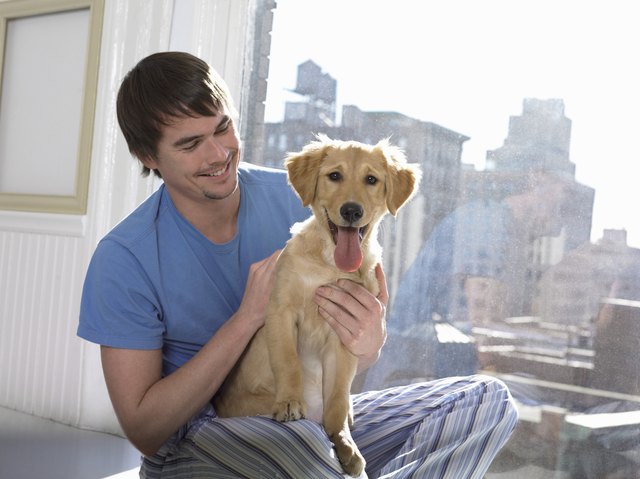 Man and His Labrador Sitting Next to a Window