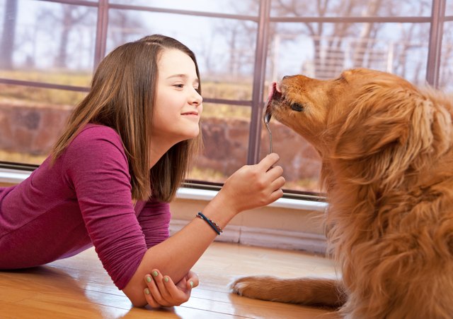 is-peanut-butter-good-for-dogs-cuteness