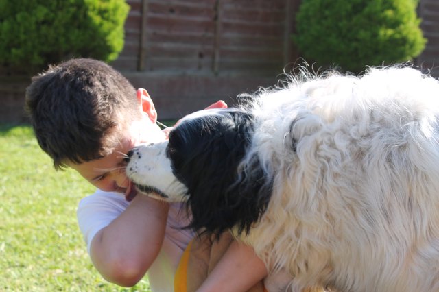 Excitable Kiss