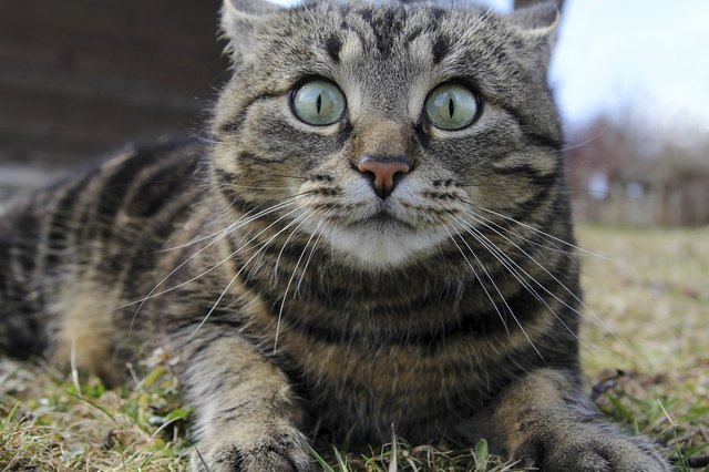 amusing look