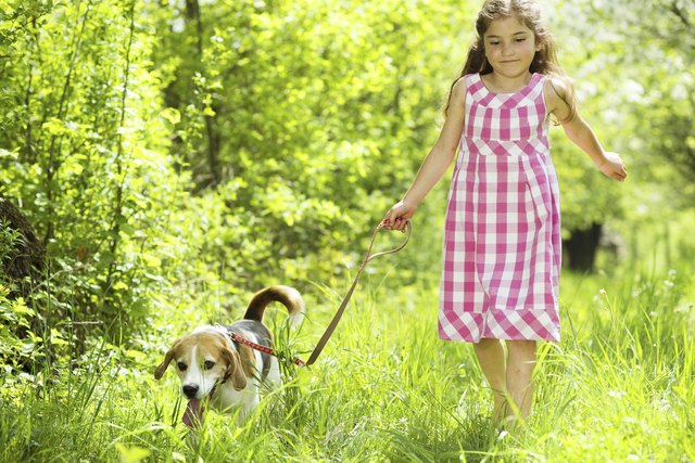 Little girl with dog