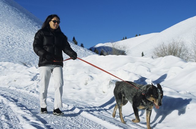Woman walking through snow with dog
