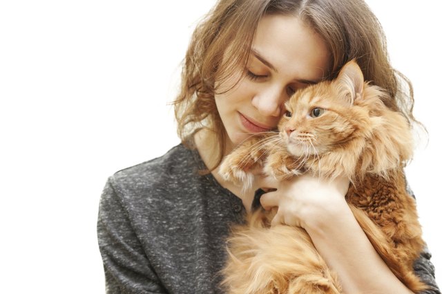 The Pros & Cons of Having a Pet Cat | Cuteness