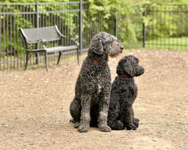 father and son