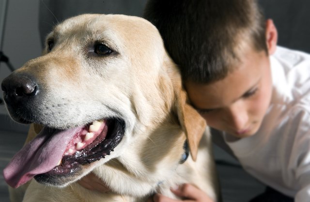 Boy with dog