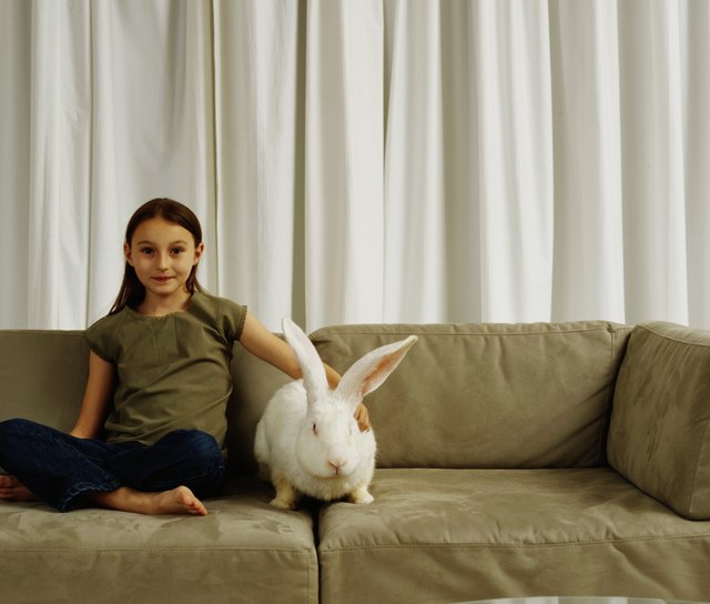 Girl (7-9) on sofa with white rabbit, portrait