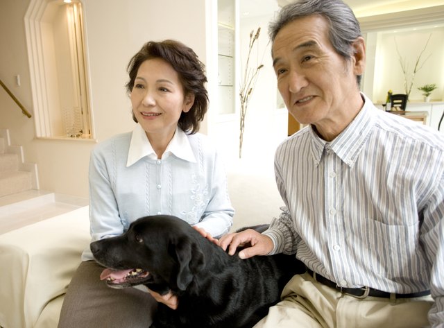A Senior Adult Couple Smiling with a Dog in a Living Room, Side View