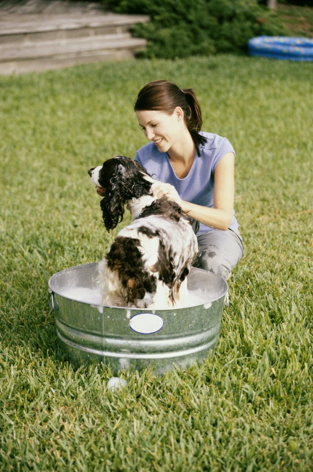 Young woman bathing her dog in a tub